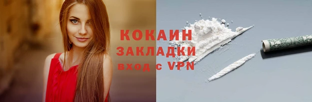 МДПВ Алзамай
